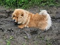 20110606_Aqua_si_CS 062